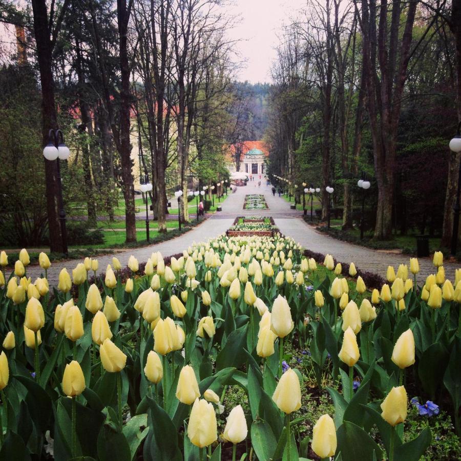 Villa Filmowiec Polanica-Zdroj Bagian luar foto