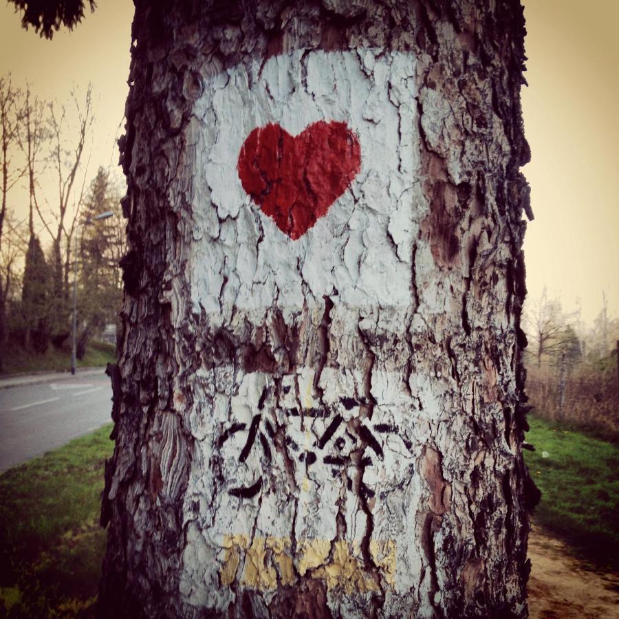 Villa Filmowiec Polanica-Zdroj Bagian luar foto